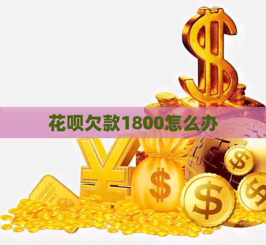 信用卡欠款1800怎么办
