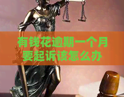 有钱花逾期一个月要起诉该怎么办