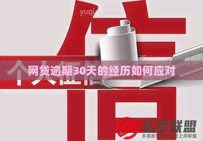 网贷逾期30天的经历如何应对
