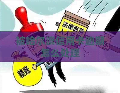 被哈尔滨信用卡逾期怎么处理