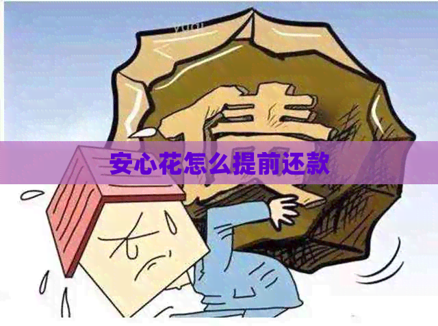 安心花怎么提前还款