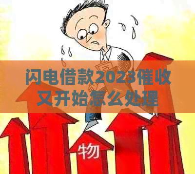 闪电借款2023又开始怎么处理