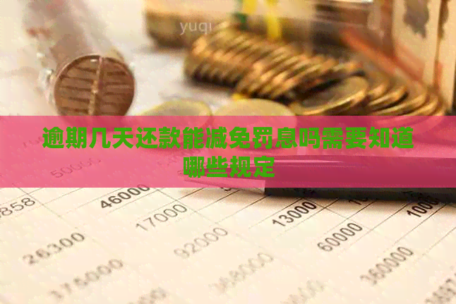 逾期几天还款能减免罚息吗需要知道哪些规定