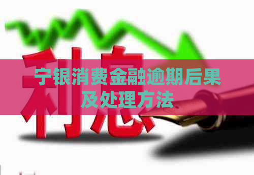 宁银消费金融逾期后果及处理方法