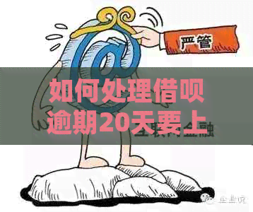 如何处理网贷逾期20天要上门的问题