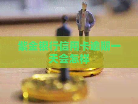 紫金银行信用卡逾期一天会怎样