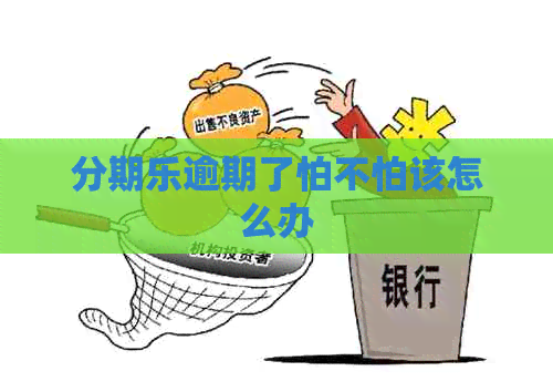逾期了怕不怕该怎么办