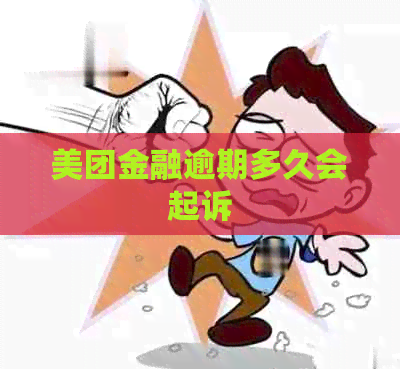 美团金融逾期多久会起诉