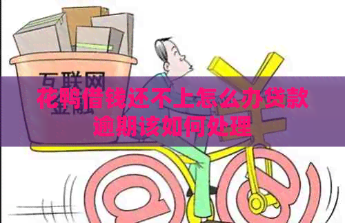 花鸭借钱还不上怎么办贷款逾期该如何处理