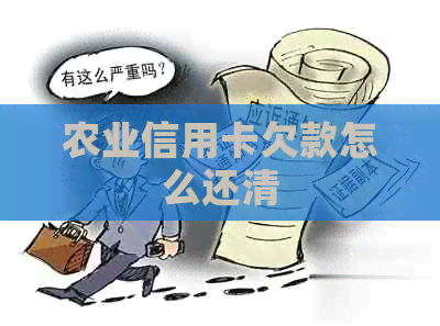 农业信用卡欠款怎么还清