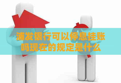 浦发银行可以停息挂账吗现在的规定是什么