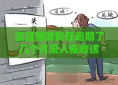 芸豆借款现在逾期了几个月没人该怎么办