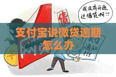 支付宝说微贷逾期怎么办