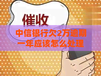 中信银行欠2万逾期一年应该怎么处理