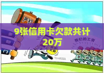 9张信用卡欠款共计20万