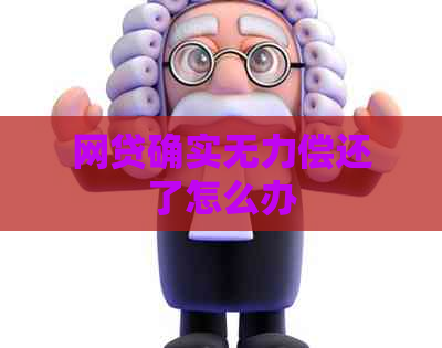 网贷确实无力偿还了怎么办