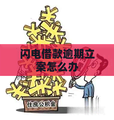 闪电借款逾期立案怎么办