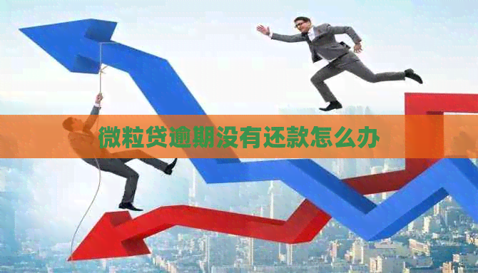 微粒贷逾期没有还款怎么办