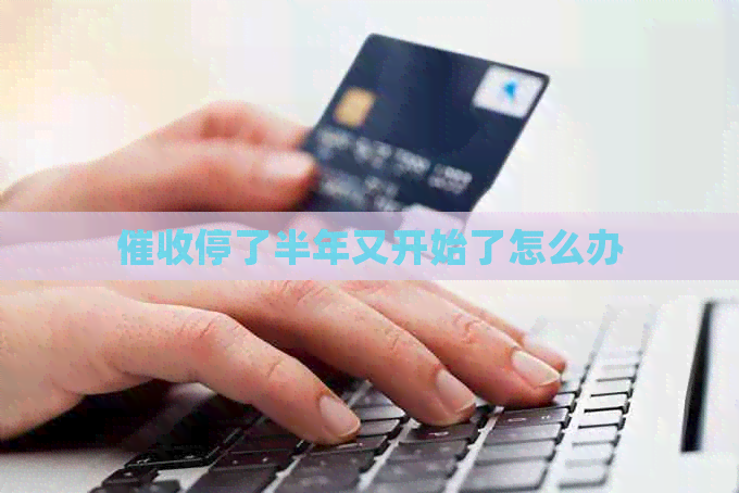 停了半年又开始了怎么办