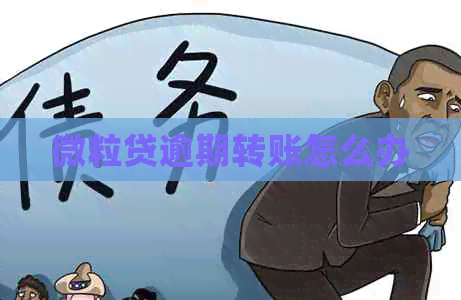 微粒贷逾期转账怎么办