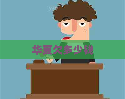 华夏欠多少钱
