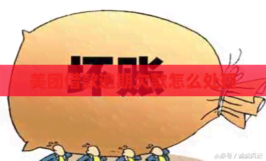 美团借款逾期欠款怎么处理
