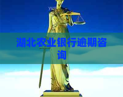 湖北农业银行逾期咨询
