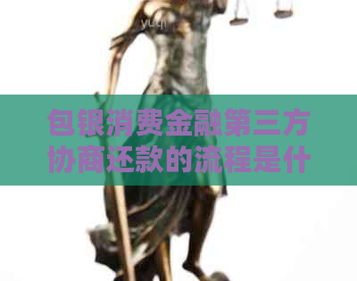 包银消费金融第三方协商还款的流程是什么