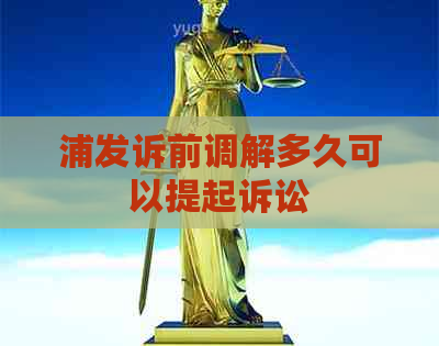 浦发诉前调解多久可以提起诉讼