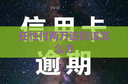 任性付两万逾期该怎么办