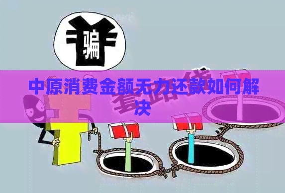 中原消费金额无力还款如何解决