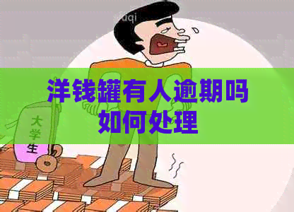 洋钱罐有人逾期吗如何处理