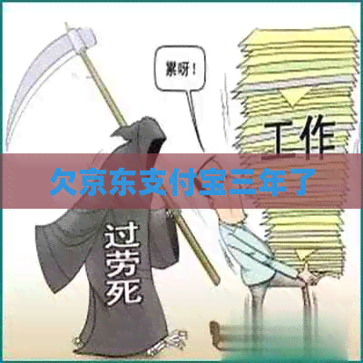 欠京东支付宝三年了