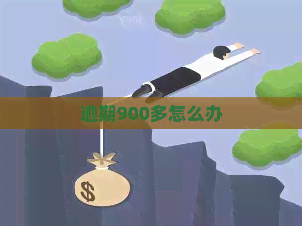 逾期900多怎么办