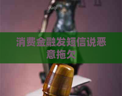 消费金融发短信说恶意拖欠