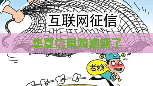 华夏信用购逾期了