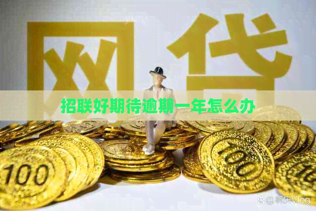 招联好期待逾期一年怎么办