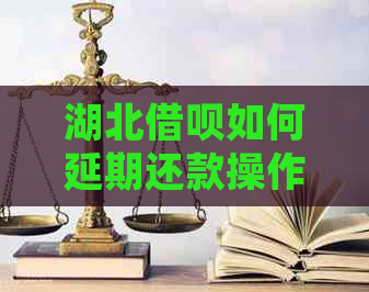 湖北网贷如何延期还款操作指南