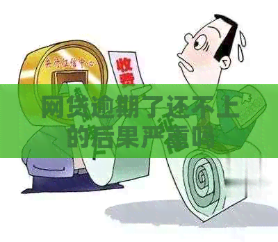 网贷逾期了还不上的后果严重吗