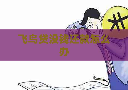 飞鸟贷没钱还款怎么办