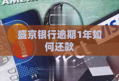 盛京银行逾期1年如何还款