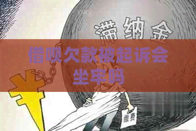 网贷欠款被起诉会坐牢吗