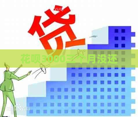 信用卡3000三个月没还