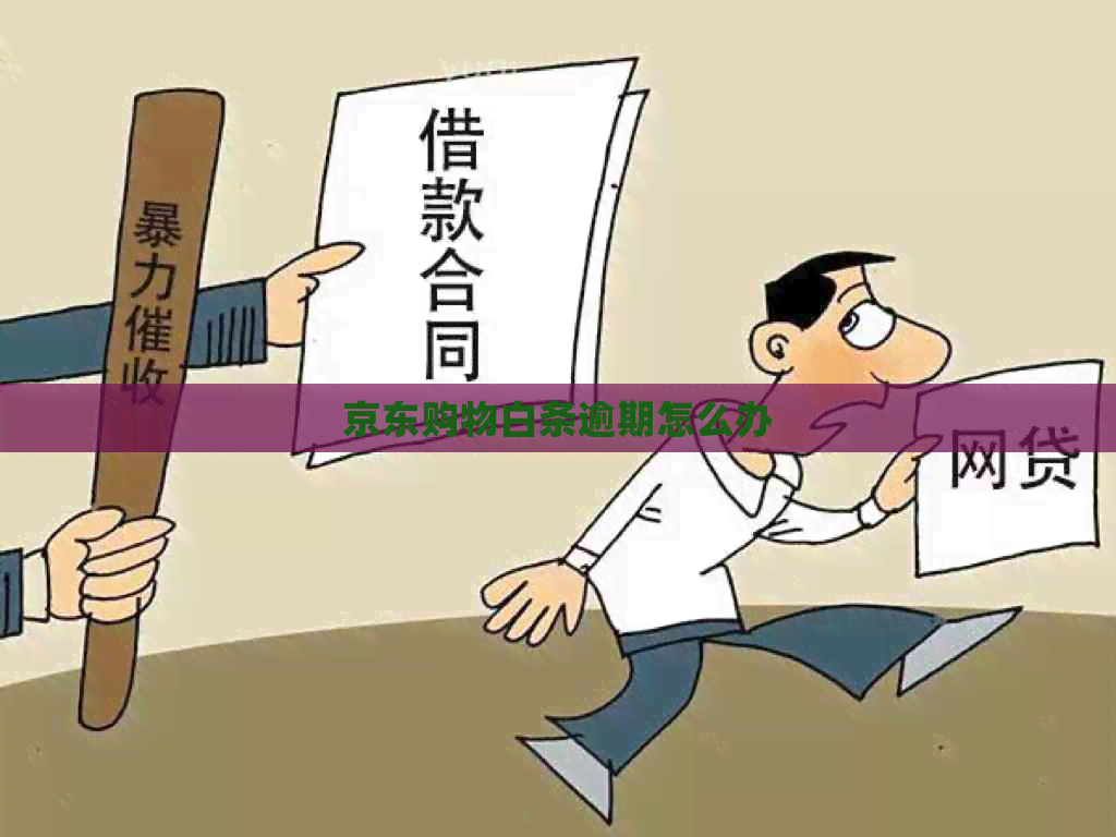 京东购物白条逾期怎么办