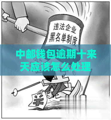 中邮钱包逾期十来天应该怎么处理