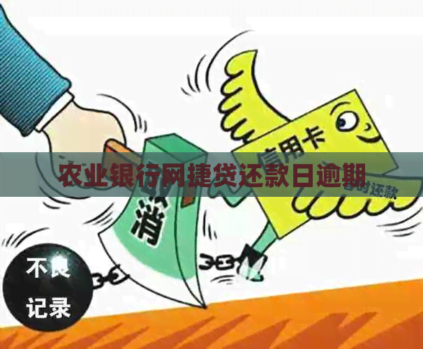 农业银行网捷贷还款日逾期