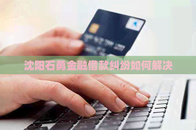 沈阳石勇金融借款纠纷如何解决