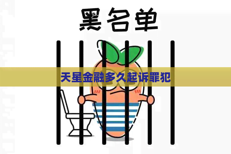 天星金融多久起诉罪犯