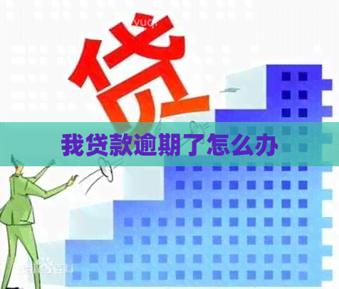 我贷款逾期了怎么办