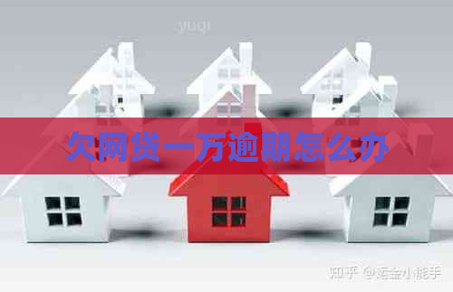 欠网贷一万逾期怎么办